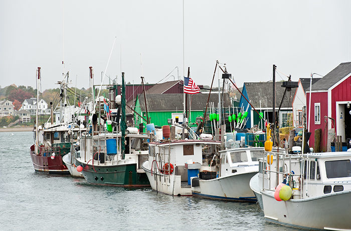 Line of colorful lobster boats, Portland, Maine.